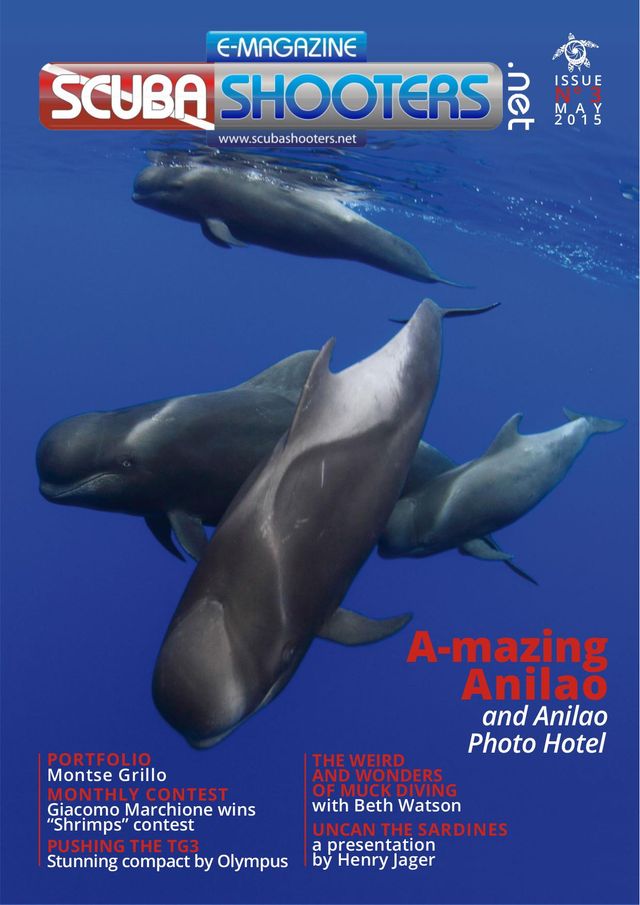 Ga onbeperkt met Magzter GOLD