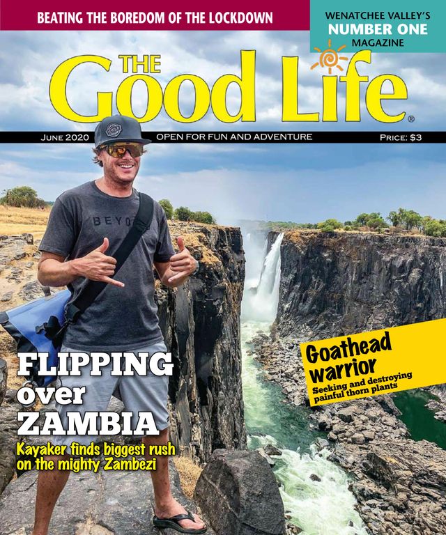 Go Unlimited with Magzter GOLD