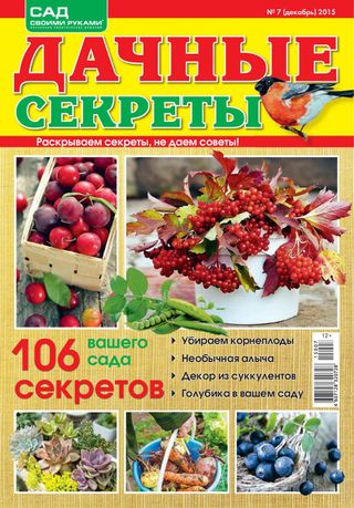 Дачные секреты - Февраль, №02-2017 Дачные секреты Cover - Февраль, №02-2017 Edition