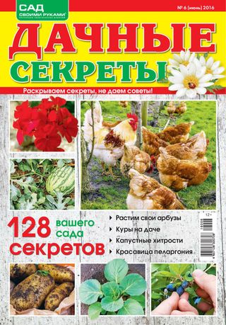 Дачные секреты - Февраль, №02-2017 Дачные секреты Cover - Февраль, №02-2017 Edition