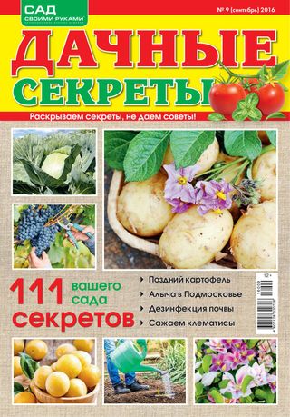 Дачные секреты - Февраль, №02-2017 Дачные секреты Cover - Февраль, №02-2017 Edition