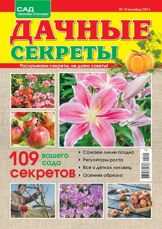 Дачные секреты - Февраль, №02-2017 Дачные секреты Cover - Февраль, №02-2017 Edition