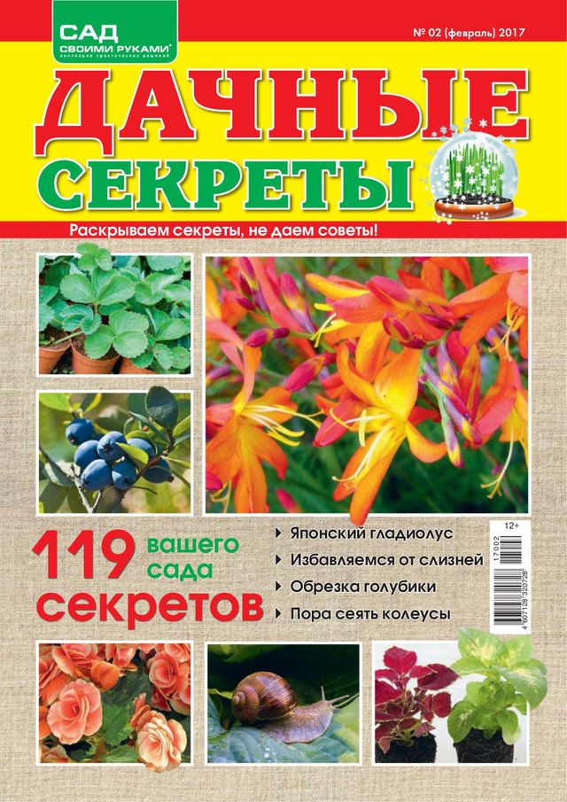 Дачные секреты