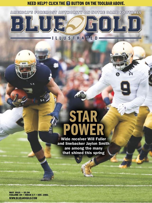 Blue & Gold Illustrated