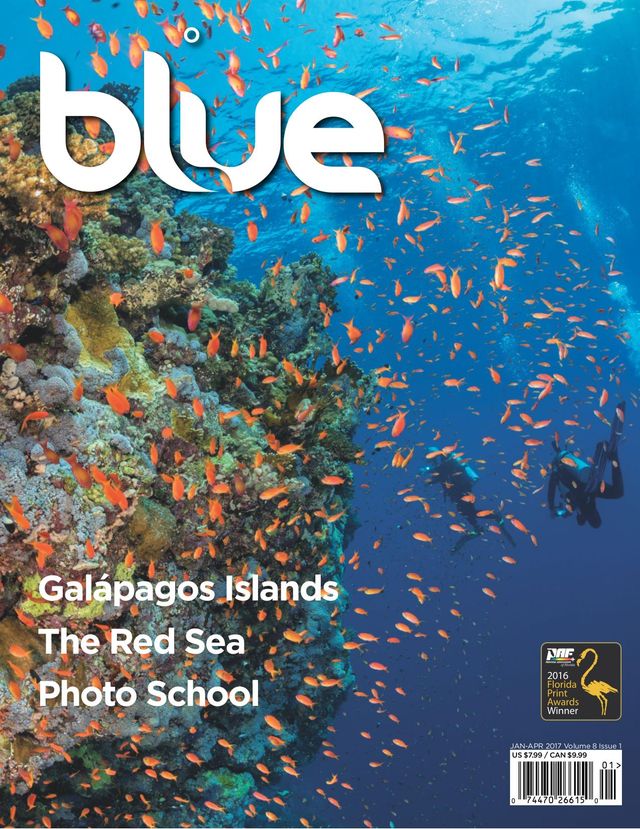 Blue