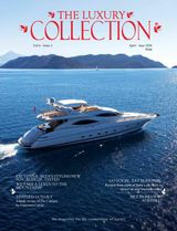 Volume 6 Issue 3