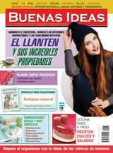 Buenas idea 273 - junio 2016