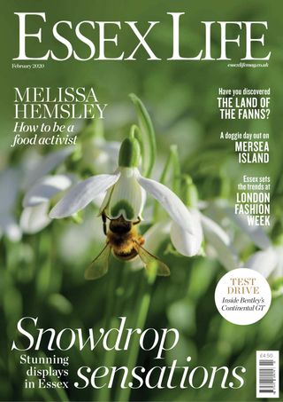 Essex Life