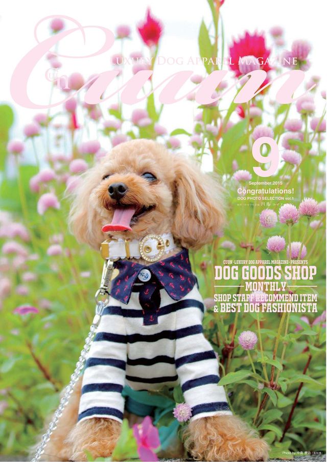 Cuun - Luxury Dog Apparel Magazine