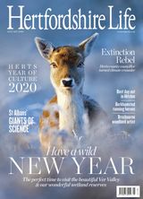 January 2020