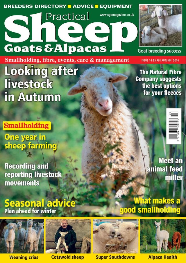 Magzter GOLDで無制限に