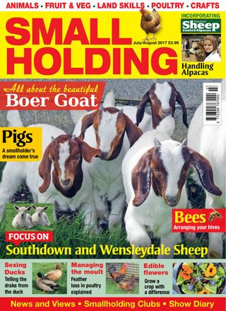 Small Holding