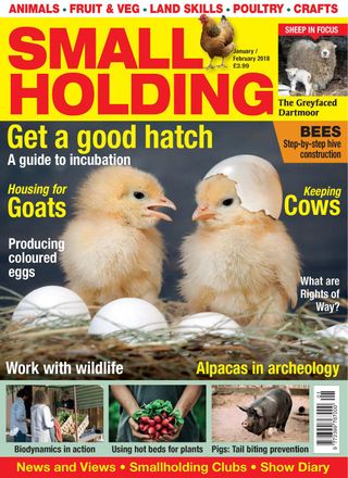 Small Holding