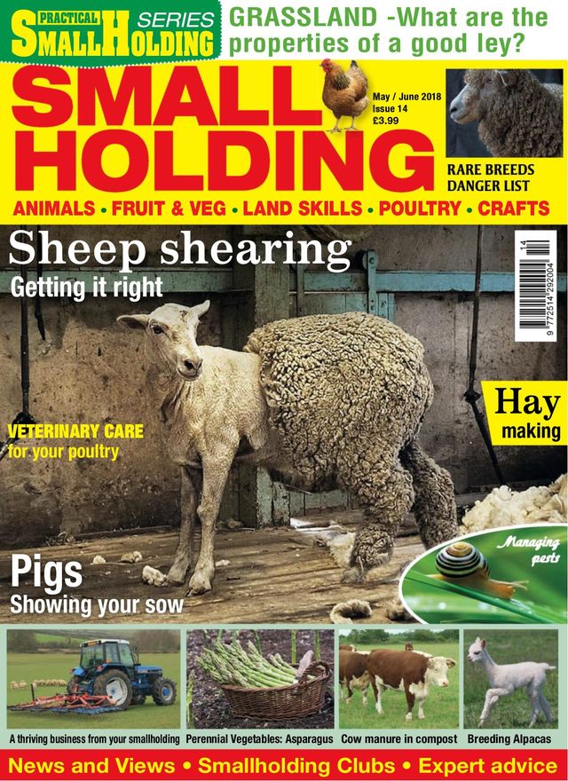 Mit Magzter GOLD unbegrenztes Potenzial nutzen