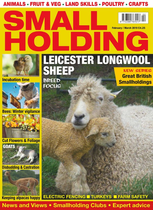 Magzter GOLDで無制限に