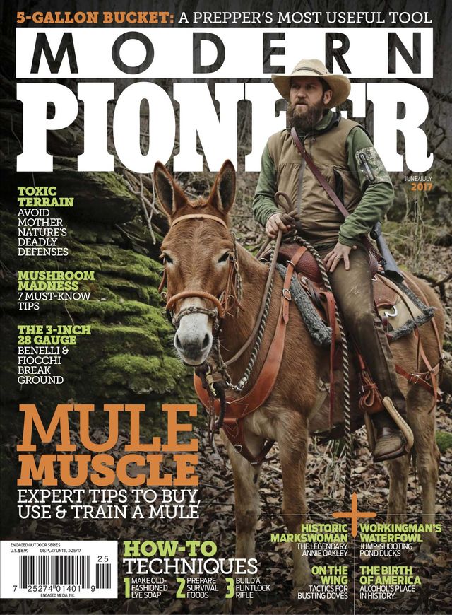 Modern Pioneer