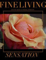 Issue 25