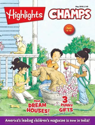 Highlights Champs