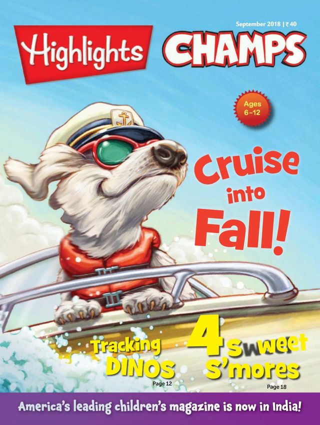 Highlights Champs