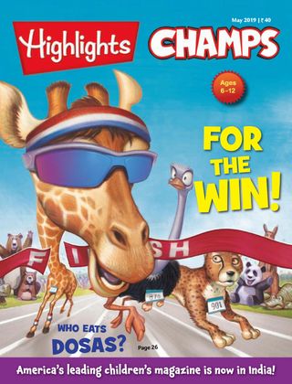 Highlights Champs