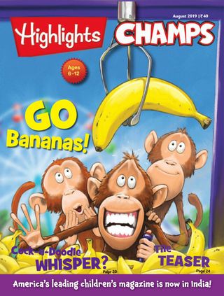 Highlights Champs