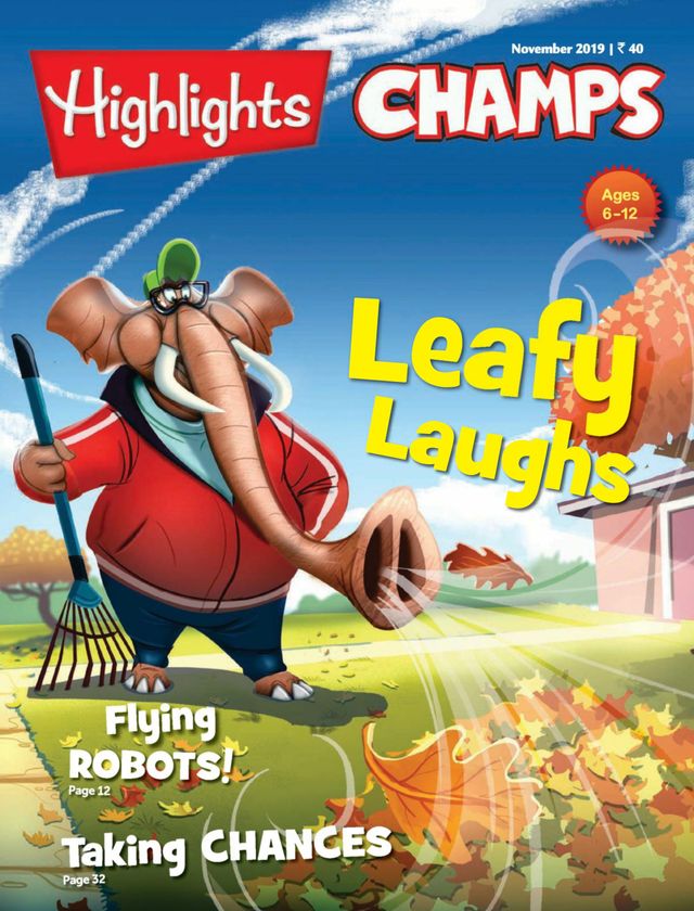 Highlights Champs