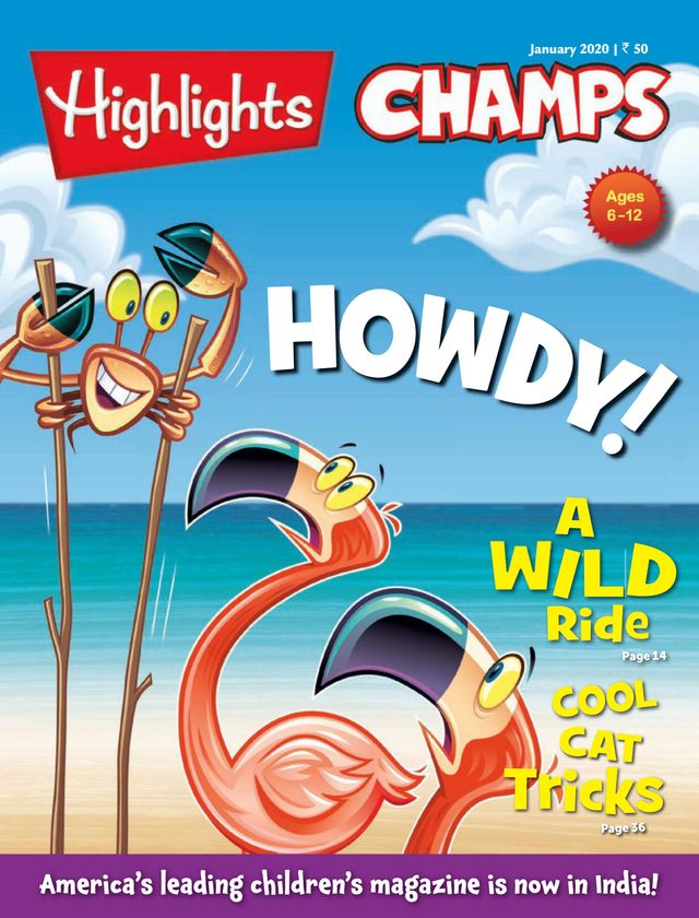 Highlights Champs