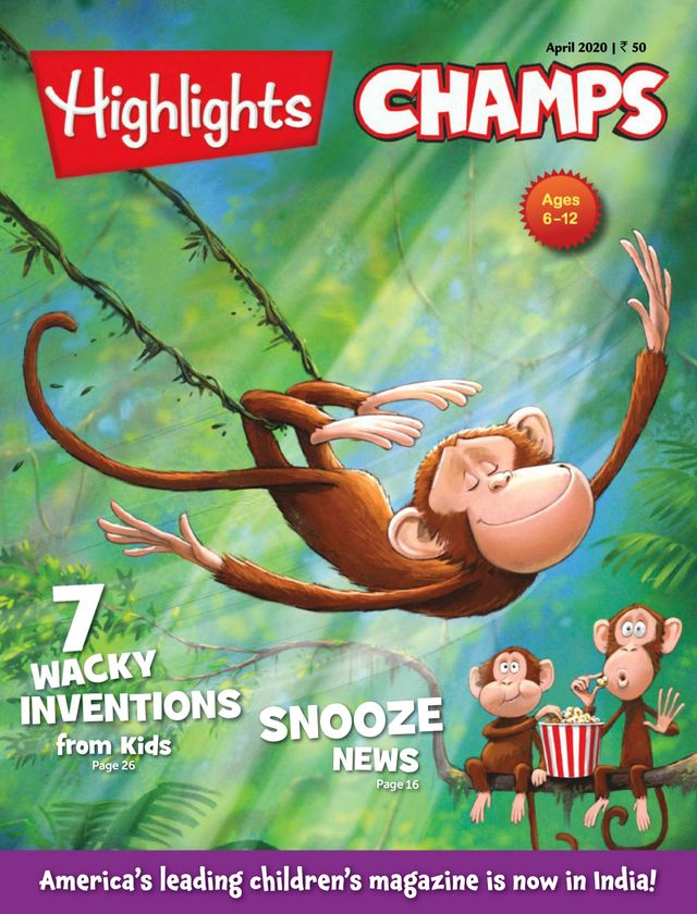 Highlights Champs