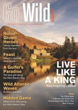 Issue 1