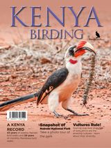 Issue 8