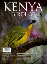 Issue 9