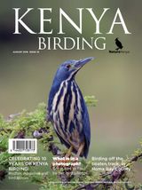 Issue 10