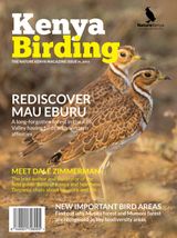 Issue 11