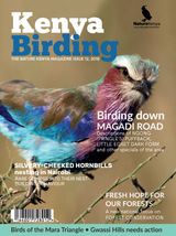 Issue 12