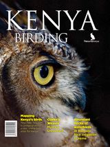 Issue 7
