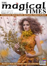 Issue 23