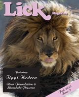 Issue 2
