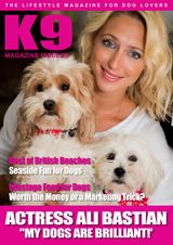 Issue 85