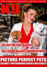 Issue 86