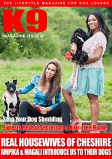 Issue 87
