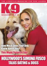 Issue 91
