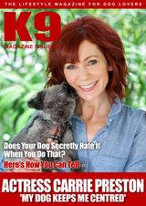 Issue 93
