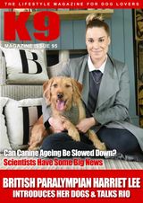 Issue 95