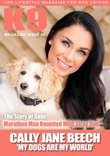 Issue 96
