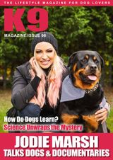 Issue 98