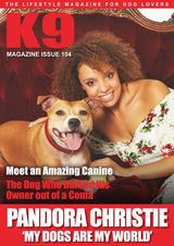 Issue 104