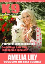 Issue 107