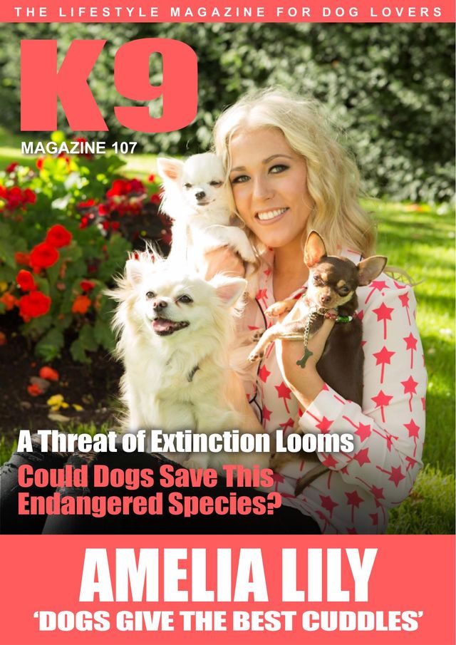 K9 Magazine