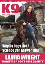 Issue 111