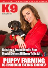 Issue 113